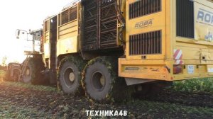 Уборка сахарной свёклы в Елецком районе. Работают комбайны ROPA Tiger V8-4 и Tiger 5. Осень 2022 г.