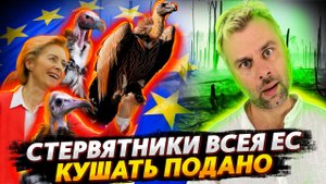 ПОДДЕРЖКА ПО-ЕВРОПЕЙСКИ, КАК ОНА ЕСТЬ ИЛИ КТО НЕ УСПЕЛ, ТОТ ОПОЗДАЛ