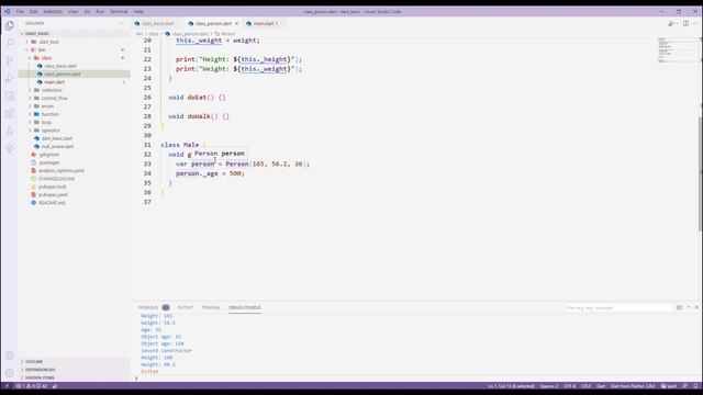 Flutter | Dart | Access Modifier