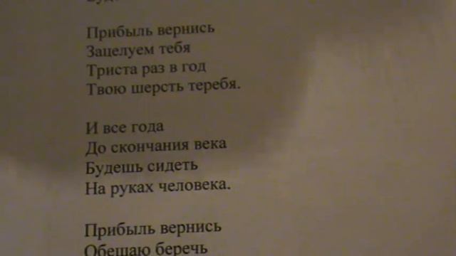 "Мы ходим обросшие" 1 зап. написал Саша Бутусов