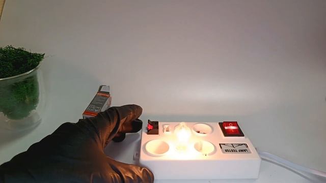 Лампа накаливание Е12 7Вт 220 вольт прозрачная TDM ELECTRIC sq0332-0054 смотреть онлайн