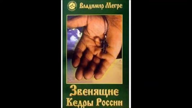 Звенящий меч барда. 10 из книги 2 "Звенящие кедры России" . В. Мегре . смотреть онлайн