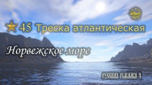 ✮ Норвежское море ✮ Треска атлантическая ✮