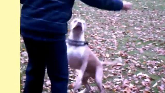 Прыжки вправо и влево. Wechselsprung.