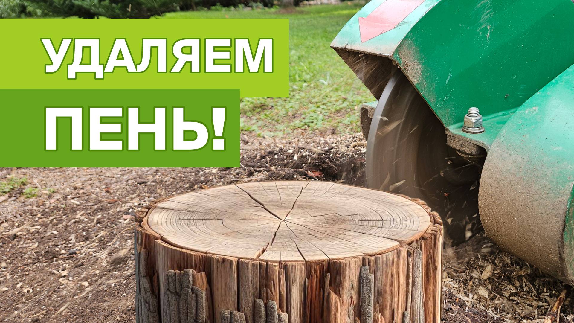 Удаляем пень