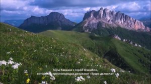 Когда в слова Твои вникаю. Минус. Родник хвалы и вдохновенья