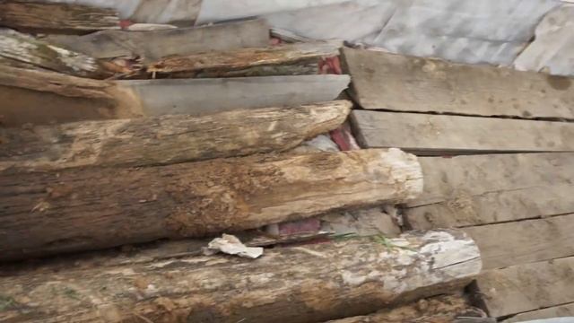 Готовим грядки к сезону. Наводим порядок. А Джой хулиганит. Весна 2021/Переезд в деревню. смотреть онлайн