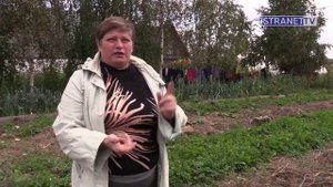 Как живут фермеры в Истринском районе. Хозяйство Корнево