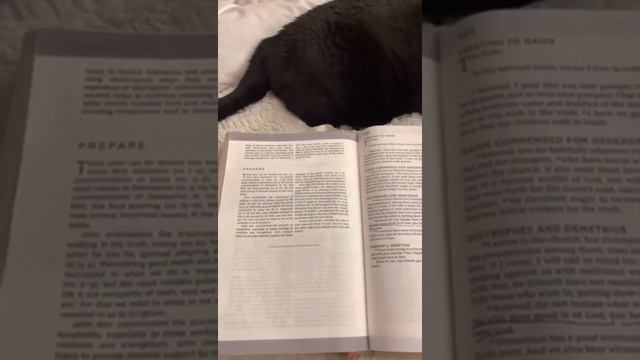 Ободрение. Восхищение очень скоро