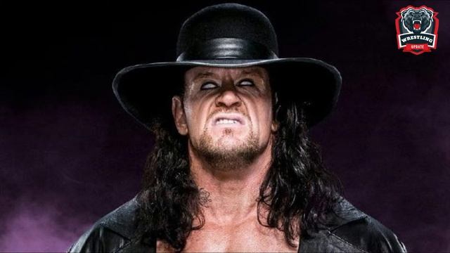 Top 5 Most Popular WWE Superstars ! Current Most Popular Wrestlers In India ! Wrestling Update смотреть онлайн