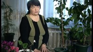 Цикламен – из семян