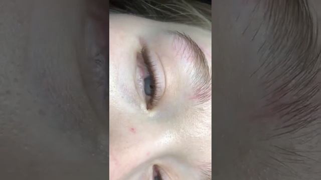 Наращивание ресниц #lashes #lash #красота #лэшмейкер #наращиваниересниц