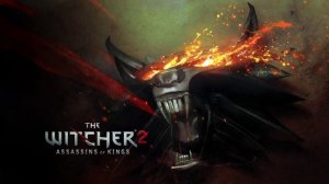 49 - The Witcher 2 Score - Nocturnal Fields