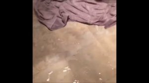 Condom Challenge Fail