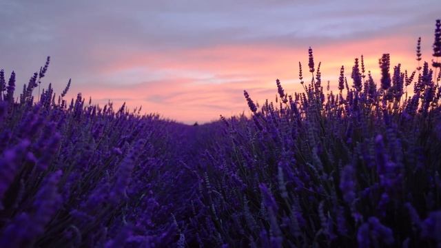 #music#meditation * Вибрация положительной энергии,Очищение отрицательной энергии, Исцеляющая музыка