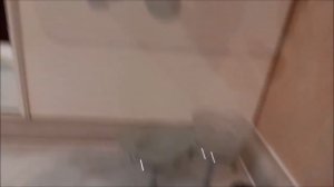 Отдых в Крыму 2021 Отель Аквапарк Алушта