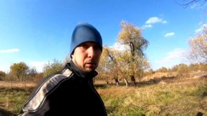 Сколько грецких орехов я собрал с 3 деревьев?