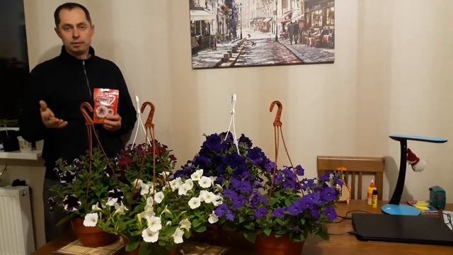 PLANTON S Удобрении для петунии!