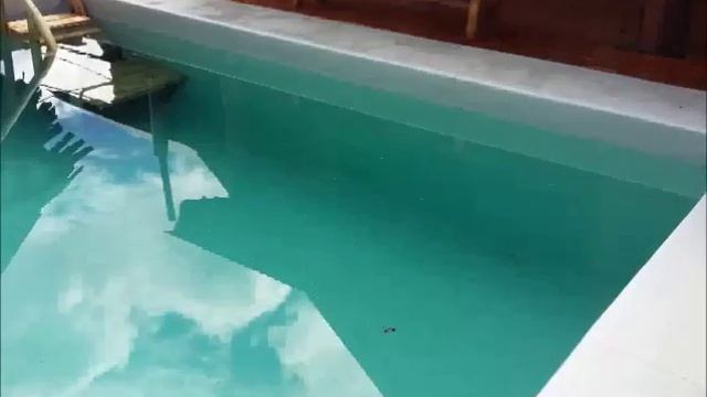 Уличный бассейн из кровельной ПВХ мембраны