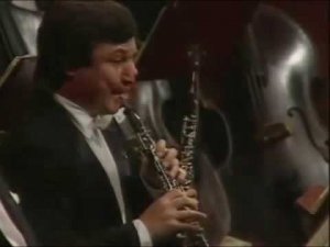 Tchaikovsky - Oboe solo in Swan lake. Alexander Koreshkov