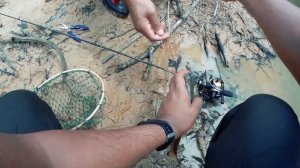 KASTKING VALIANT EAGLE II - STREAM FISHING TEST (MALAYSIA)