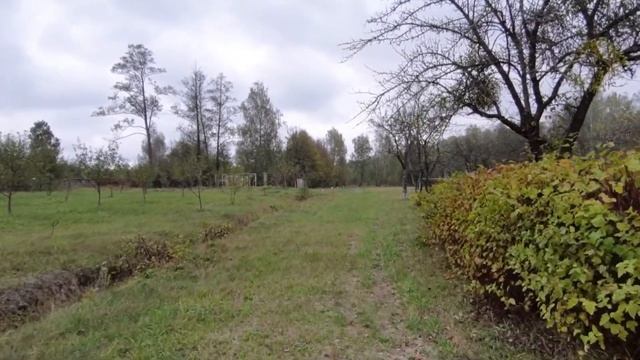 Поездка Киев-Белокоровичи-Новые Белокоровичи (Житомирская обл.)