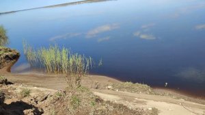 Рыбалка на фидер на леща