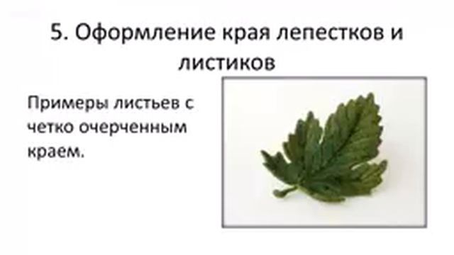 Мастер класс валяние цветка. Елена Антипова смотреть онлайн