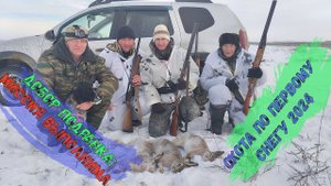 Коллективная охота по первому снегу на зайца. Добор подранка.