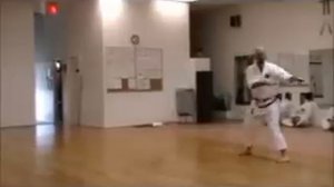 MANJI SAI * OKINAWAN KARATE CLUB OF DALLAS