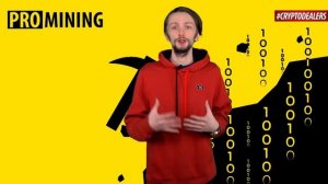 Какую криптовалюту выгодней майнить? Топ 5 монет для майнинга! ProMining. Cryptodealers