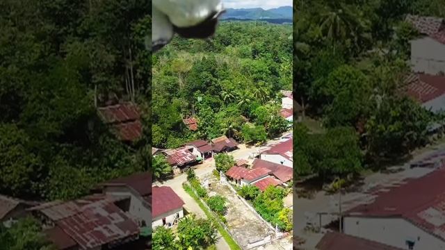 Drone kena patuk burung ?