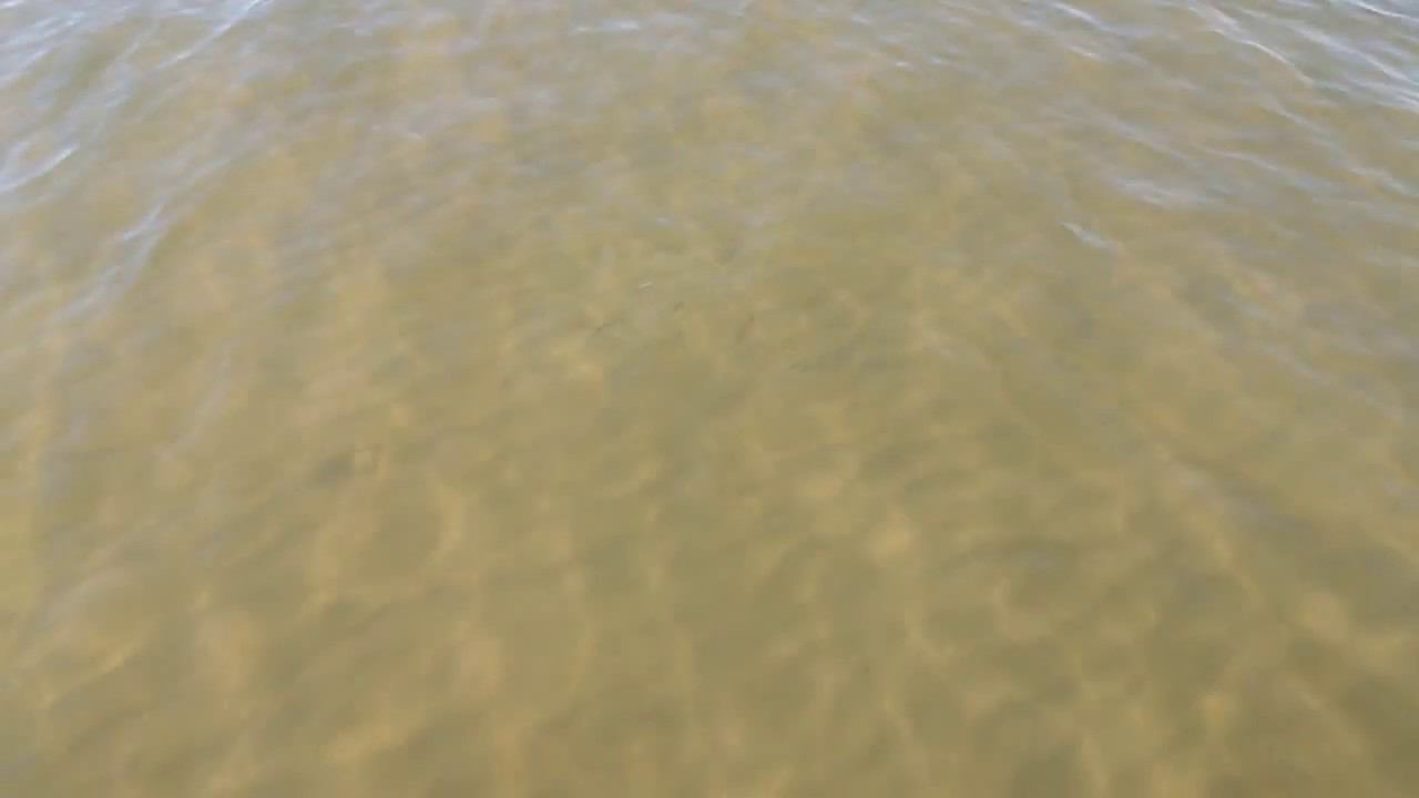 Рыбки или прозрачное Азовское море-2