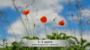 Семинар по первым трём шагам 12 шагов для компульсивных переедающих — Татьяна Т