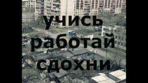 Почему я закрыл транспортный цех.