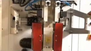 ТАУРАС ФЕНИКС ПИТПАКИ 2