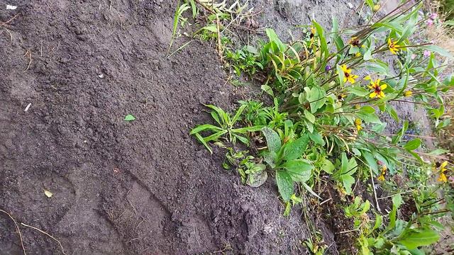 24 чеса на даче смотреть онлайн