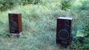 Radiotehnika 35 АС-212 и Амфитон А1-01-2 на природе ,часть 2,HD