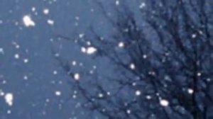 Люба Гусева- белая зима