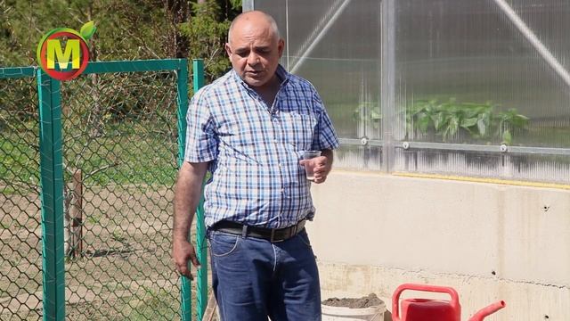 Как сделать теплую грядку прозрачной пленкой.