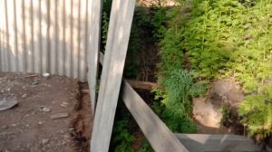 ЧТО СТАЛО С ПРУДОМ ДЛЯ РАКОВ В ЧАСТНОМ ДОМЕ!_ НЕ ПОВТОРЯЙТЕ МОИХ ОШИБОК!