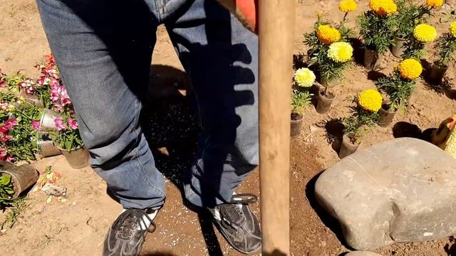 Добавьте 1 раз это Удобрение и Ваши Цветы будут Самые Красивые смотреть онлайн