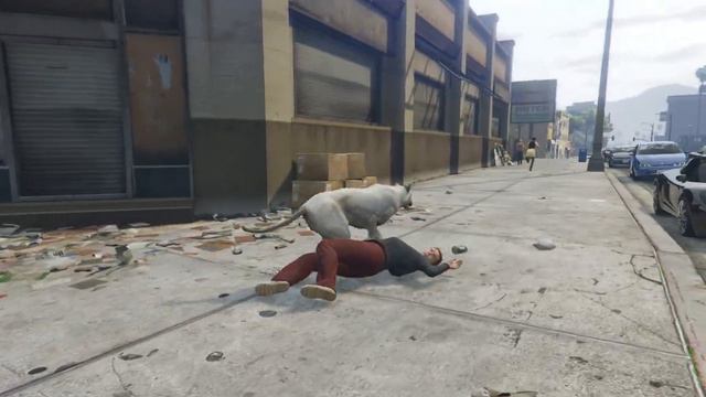 GTA V Лофофоры #6 Игра за животных смотреть онлайн