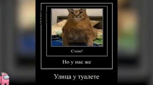 мем шлёпа ржака бот