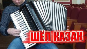 Шёл казак на побывку Домой на Аккордеоне Аккордеонист