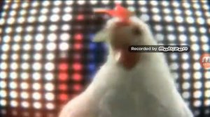 Песня курицы