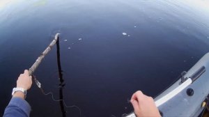 РЫБАЛКА И ОТДЫХ.Ловля щуки на живца.#27