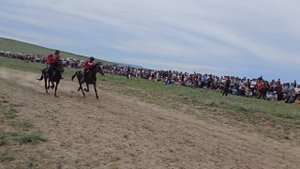 Наадым-2023. Аът чарыжындан тускай видео-репортажы. 4k