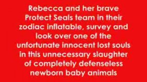 О защите морских тюленей, с Ребеккой Альдворт