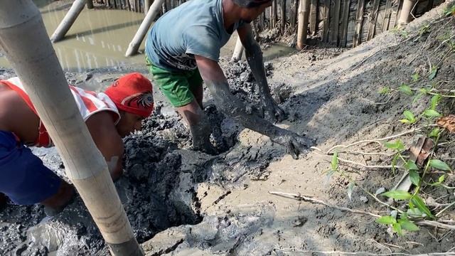 Best Eel Fishing | Yellow Monster Eel Fish Catch From Under Deep Mud Water смотреть онлайн